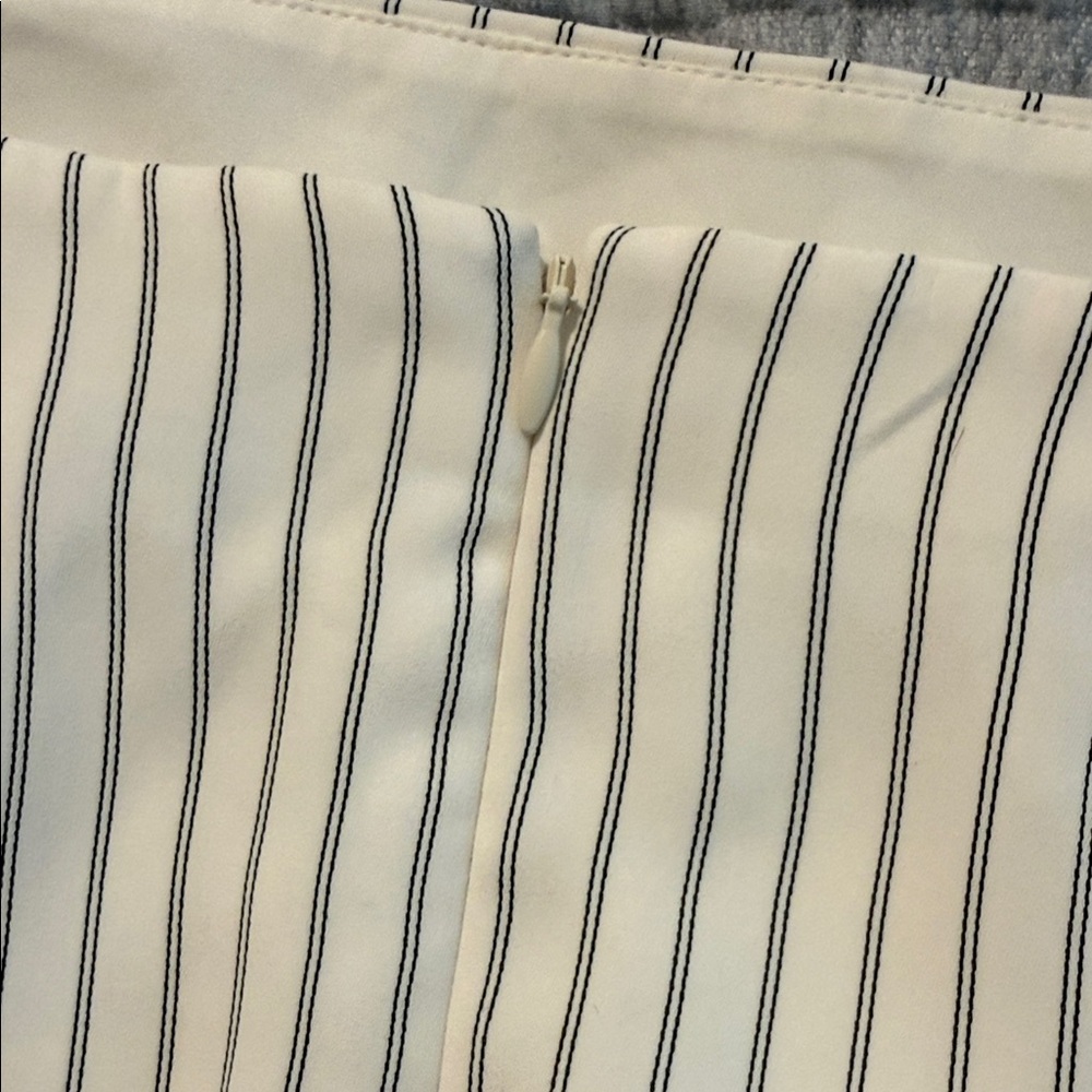 Express Cream and Black Striped Pencil Skirt - Picture 5 of 5